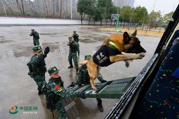 今晚一码一肖100 准确285,涵盖了广泛的解释落实方法_2024款 2.8T两驱豪华版标准轴距JE493ZLQ4CBAFA6032